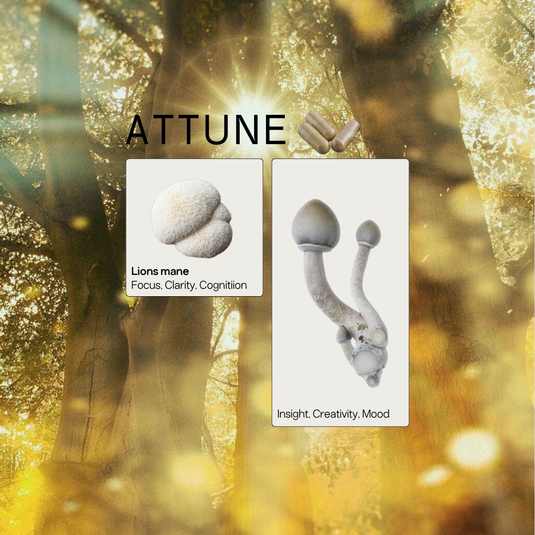 Attune Adapt+ Micro