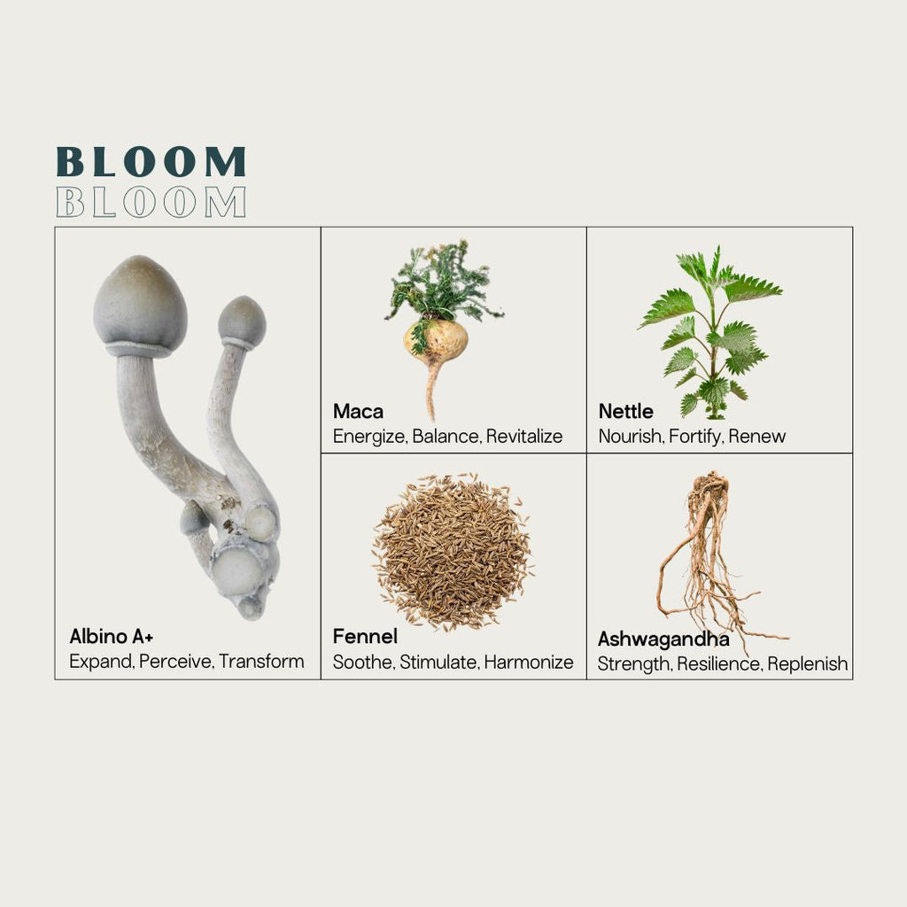 Cycle Sync♀ Micros Kit