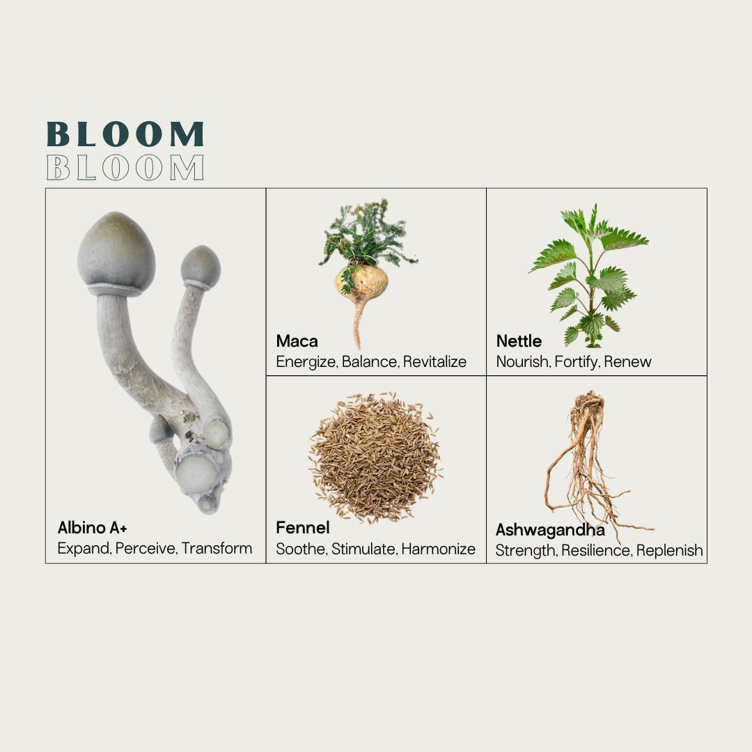 Cycle Sync♀ Micros Kit
