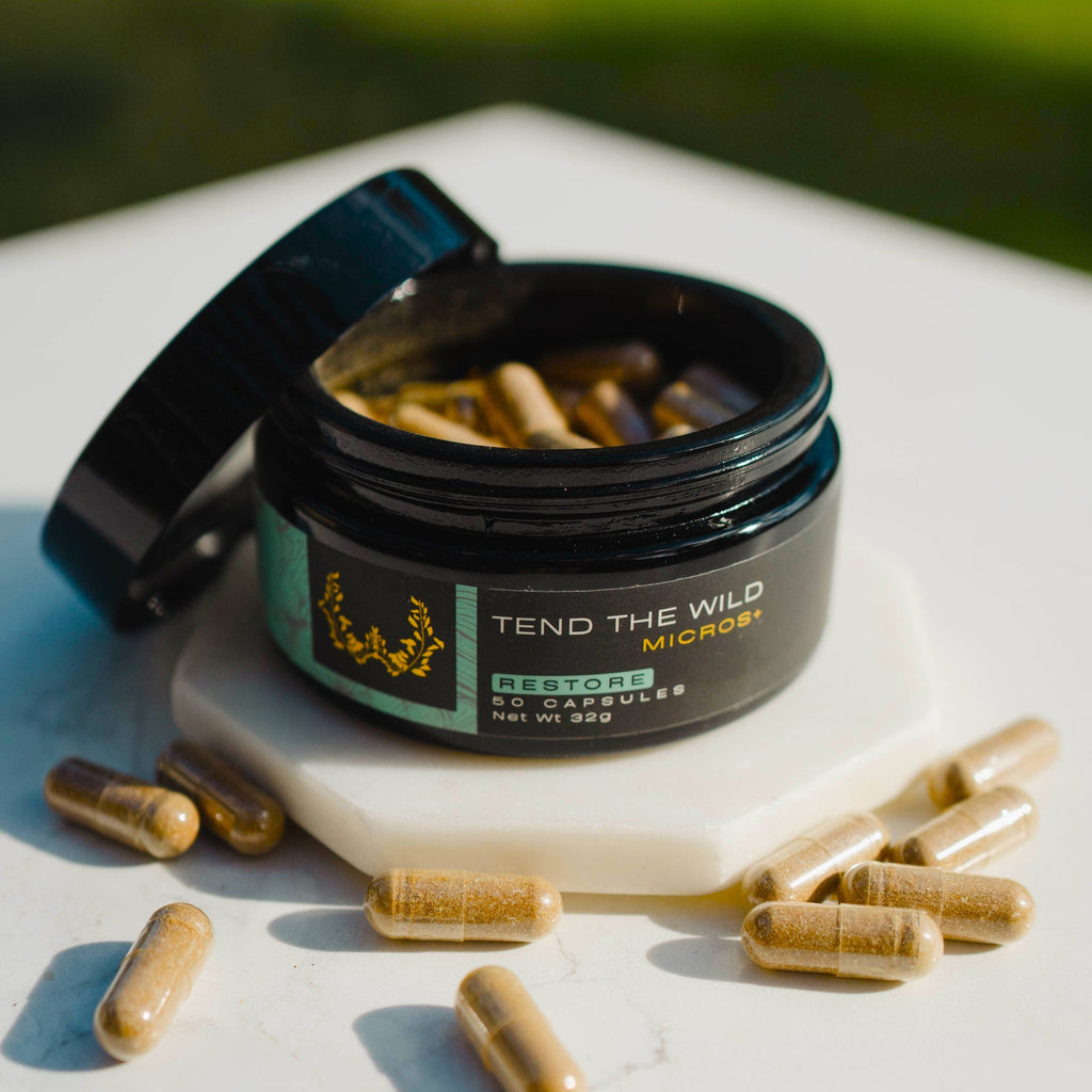 Restore Adapt+ Micro