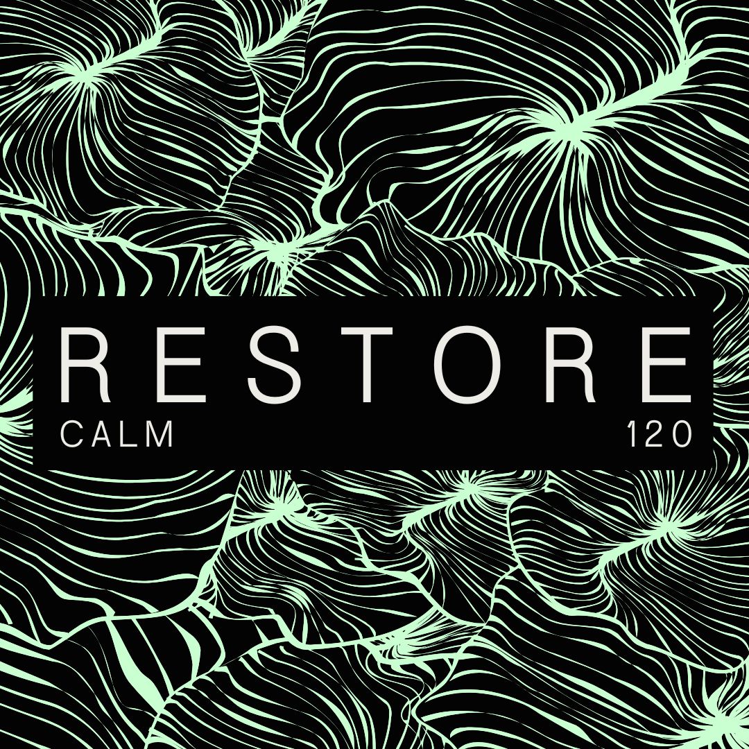 Restore Micro Pod