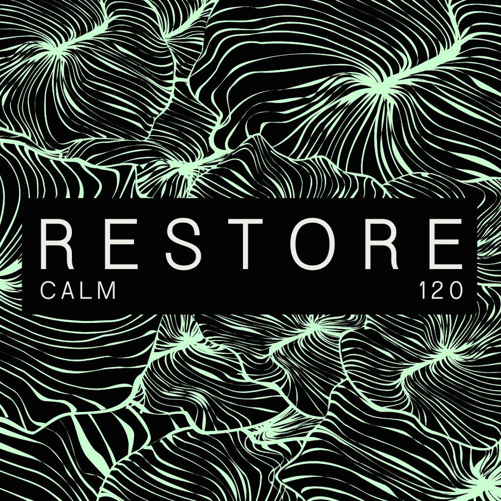 Restore Adapt+ Micro