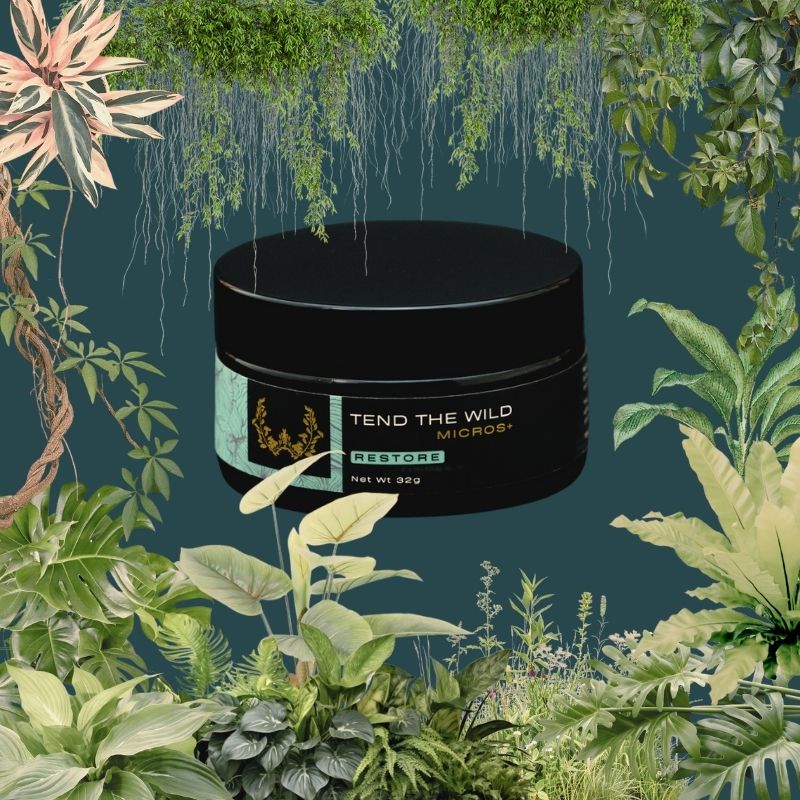 Restore Adapt+ Micro