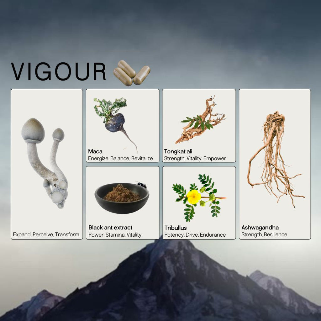 Vigour Adapt+ Micro