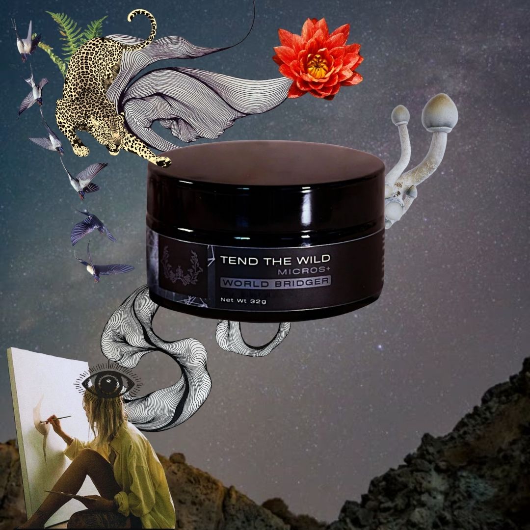 WorldBridge Adapt+ Micro